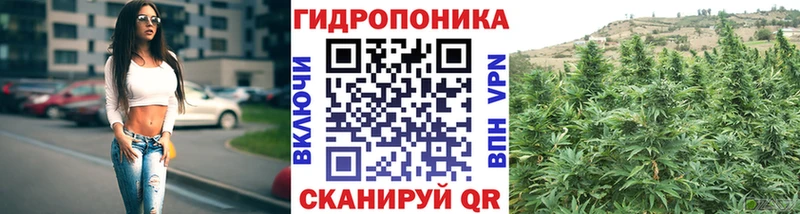 Цена Котельниково kraken ссылки Псилоцибиновые грибы Гашиш Амфетамин