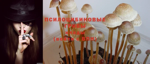 PSILOCYBIN Балахна