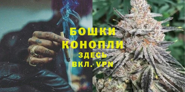 PSILOCYBIN Балахна