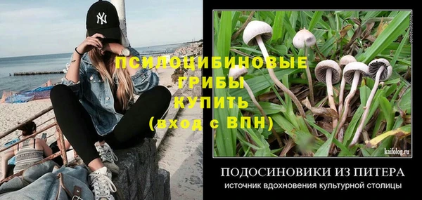 PSILOCYBIN Балахна